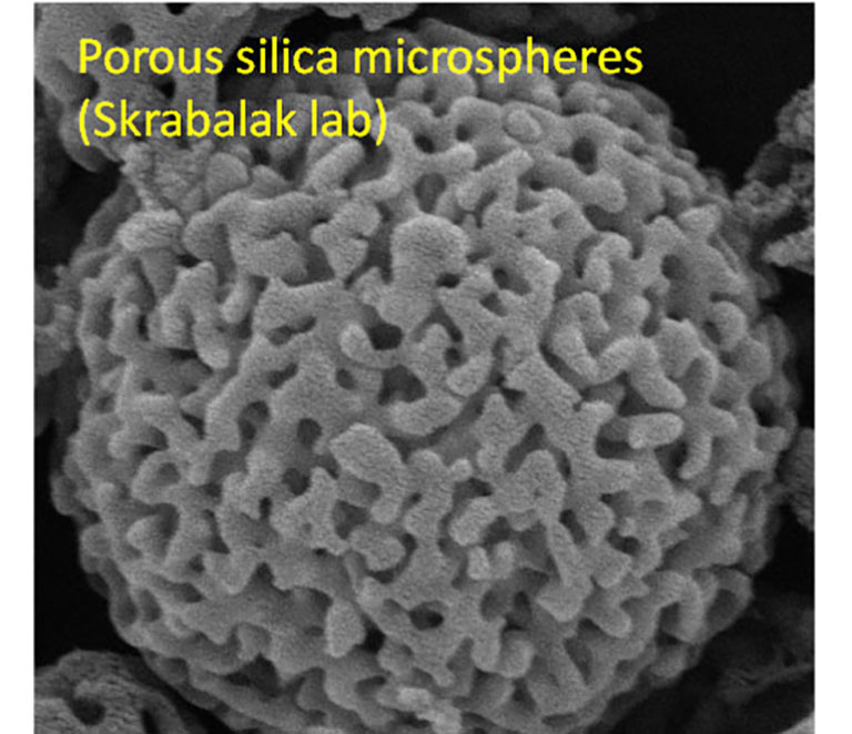 Porous silica microspheres (Skrabalak lab)