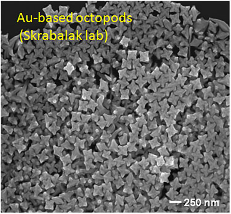 Au-based octopods (Skrabalak lab)